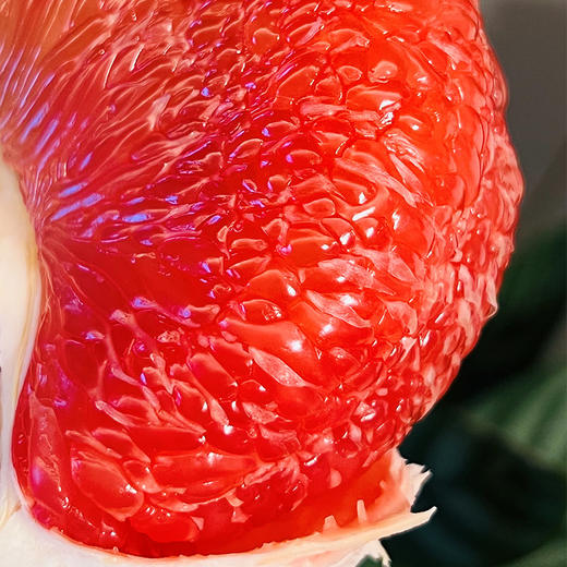 泰国KPY红宝石蜜柚-金装果  |  从碧绿大气外表到贵族绯红内瓤，都让人惊叹！拨开果肉， 细致柔嫩、晶莹剔透尝一口，极其嫩滑多汁，味道甜香浓郁，回味无穷~ 商品图3