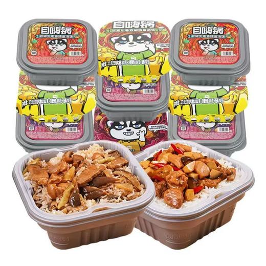 自嗨锅盖浇饭盒装 262g广式卤肉味 商品图2