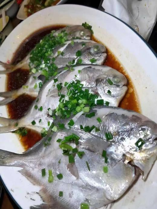 正宗舟山野生 银鲳/鲳鱼 码头直发 一手货源 商品图3