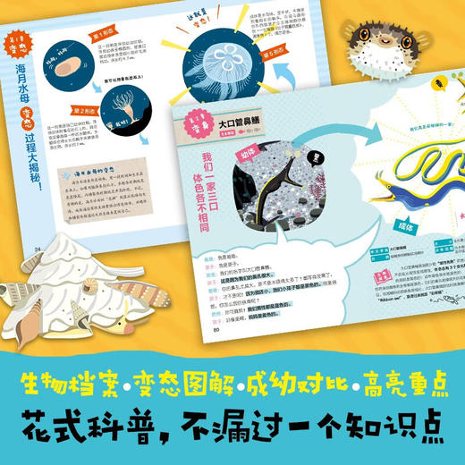 我是谁的孩子 3-6岁 铃木香里武 著 科普百科 商品图2