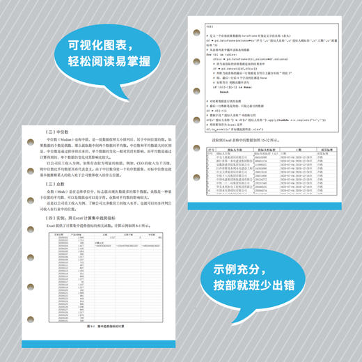 数字化审计实务指南 商品图3