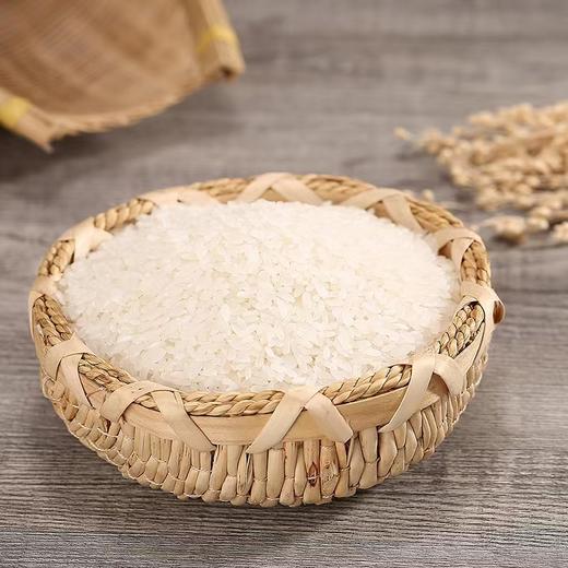 团购丨赞字村·五常大米（民乐产区）丨下单次日发货 商品图2