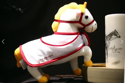 2022天星调良马术吉祥物——星缘 商品图3