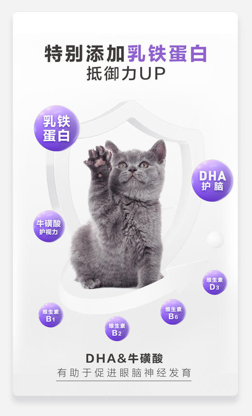 卫仕猫咪专用A2亲和配方羊奶粉200g 幼猫孕猫营养补充 商品图4