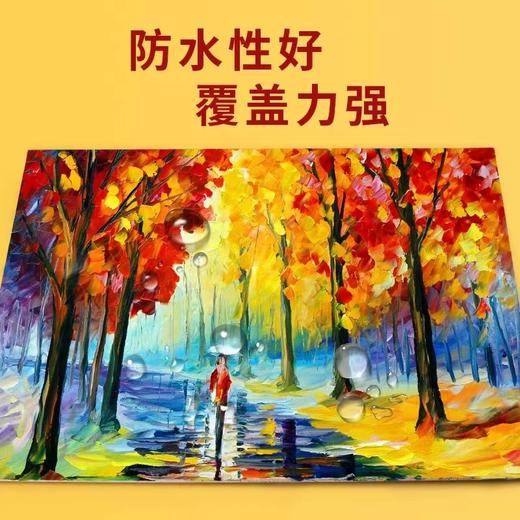 马利牌丙烯颜料250ml墙绘防水丙烯染料画画墙绘手绘彩绘不掉色涂鸦防晒儿童无毒757一瓶 商品图4