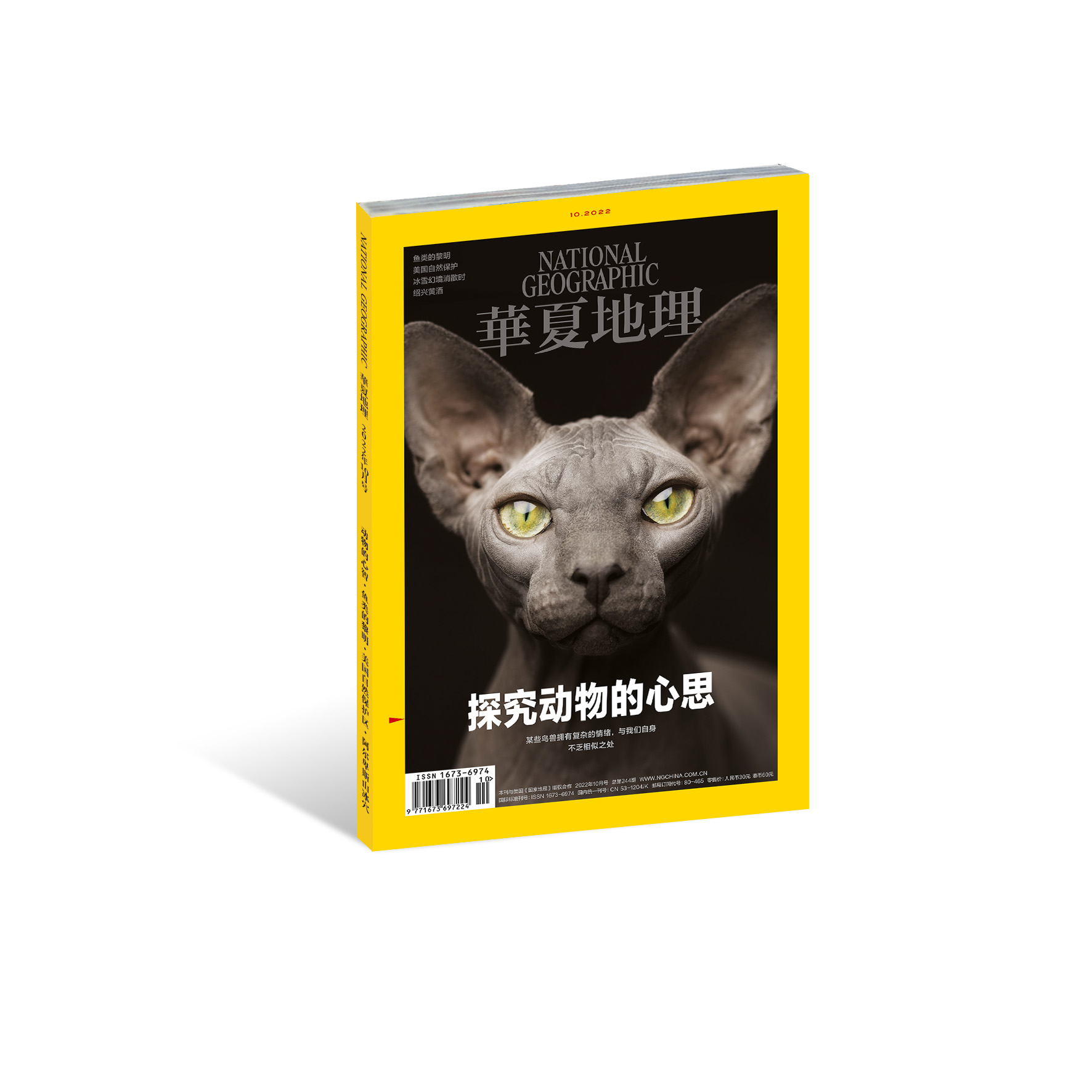 《华夏地理》杂志2022年10月刊-探究动物的心思
