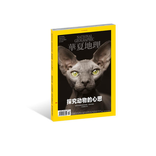 《华夏地理》杂志2022年10月刊-探究动物的心思 商品图0