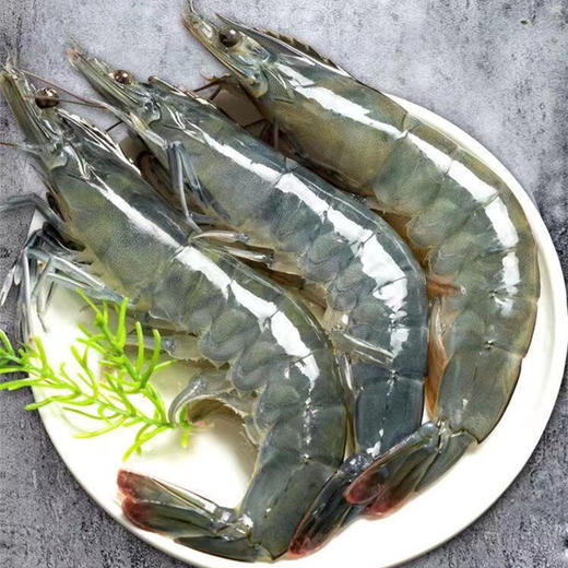 顺丰为主【青岛盐冻大虾】海捕青虾、个大新鲜、肉质紧实、鲜嫩口感、鲜而不腻 商品图0