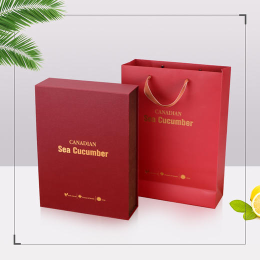海参通货礼盒（不带亚克力盒）【单拍礼盒不发货】 商品图0
