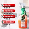 晶杰厨房亮泽清洁剂700ml 商品缩略图1