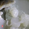 和田玉（白玉）籽料摆件--嫦娥奔月 1018g 商品缩略图3