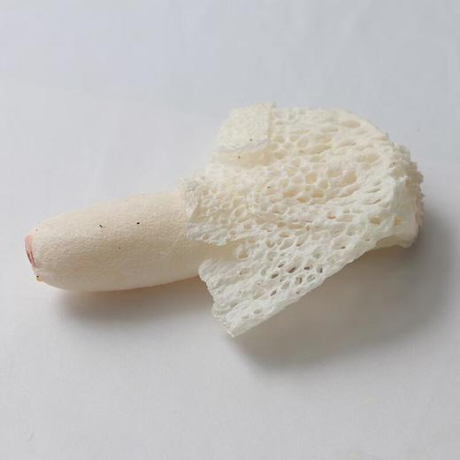 及养堂鲜竹荪花 约55g/份 商品图3