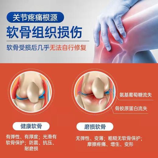 北京同仁堂氨糖软骨素片40片/盒 商品图1