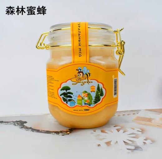 小金蜂卡扣椴树蜜 商品图2