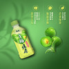 康师傅饮料瓶装330ml 青梅绿茶 商品缩略图2
