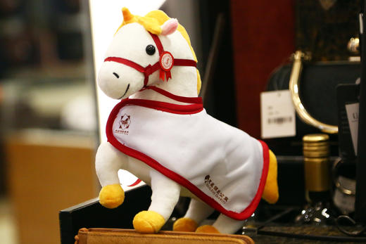 2022天星调良马术吉祥物——星缘 商品图0