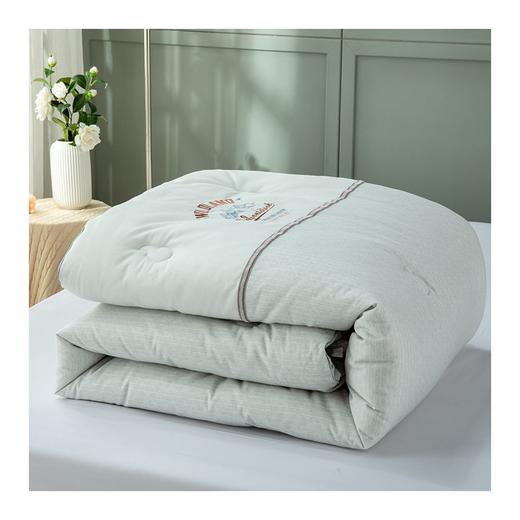 多喜爱　火山岩冬被〈帕卡纳火山岩发热锁温冬被〉 商品图1