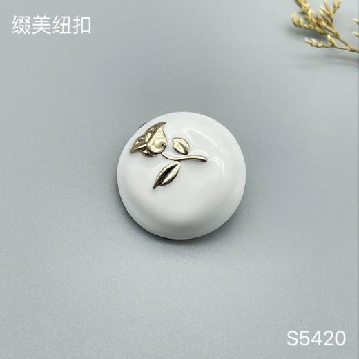 S5420 商品图1