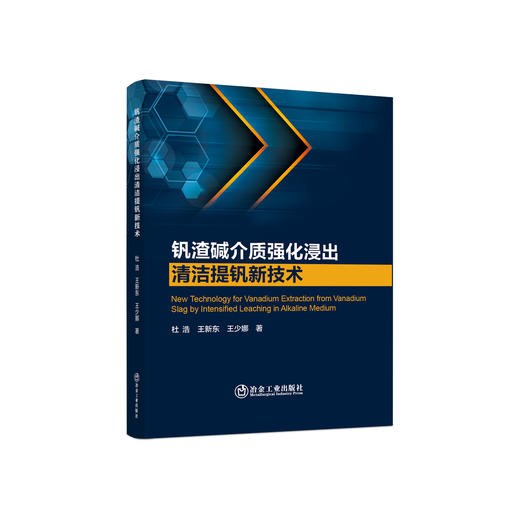 钒渣碱介质强化浸出清洁提钒新技术/杜浩，王新东，王少娜著 商品图0