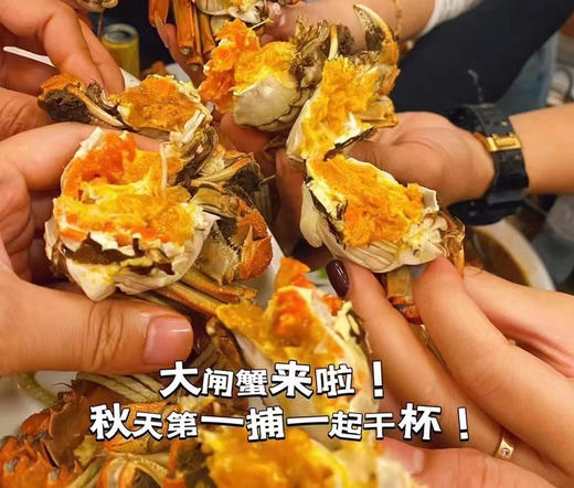 【实物】‘蟹鲜生’阳澄湖大闸蟹🦀️，只做高品质大闸蟹！每一只来自阳澄湖基地，每一只都佩戴阳澄湖商会颁发的防伪指环，可以溯源！ 商品图1