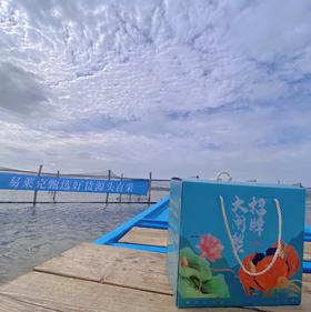 【全国包邮 活蟹】阳澄湖大闸蟹（共8只）大闸蟹 公蟹4.0两+母蟹3.0两 4对8只装