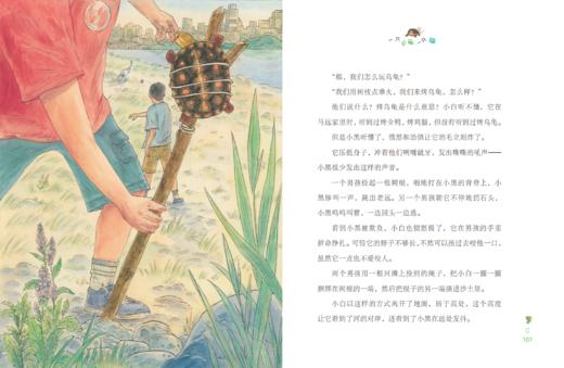 一只乌龟一只猫    三年级共读书正版现货速发|名师推荐|小学生课外阅读3年级课外读物名 商品图1