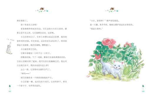 一只乌龟一只猫    三年级共读书正版现货速发|名师推荐|小学生课外阅读3年级课外读物名 商品图3