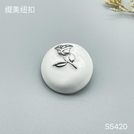 S5420 商品图2