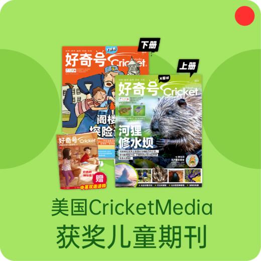 儿童期刊杂志/美国Cricket Media/好奇号全年12期/下单月起订/中文版【品牌方多地直发】 商品图0