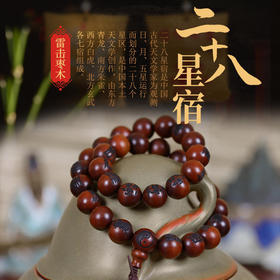 雷击枣木二十八星宿手串