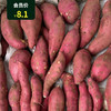 동북고구마(하얀속)  东北地瓜（白心） 500g 商品缩略图0