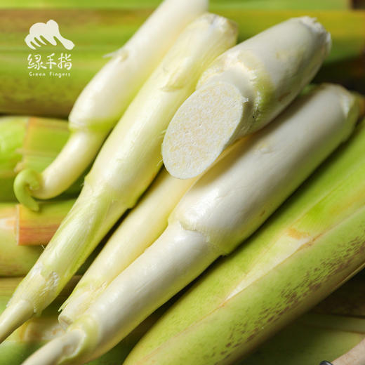 生态茭白 |  合作生产* Ecological water oat | Coproduction 商品图11