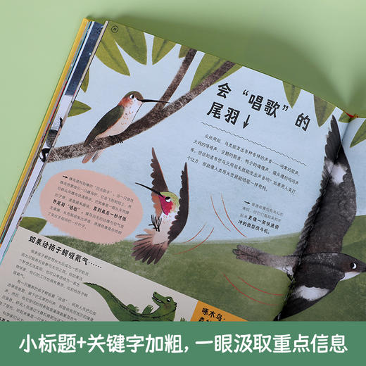 乐乐趣-如何与老虎聊天 动物之间神奇的交流方式 商品图5