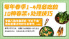 秋冬季必吃的10种应季菜+处理技巧—2023《暖暖定制台历》推荐 商品缩略图0