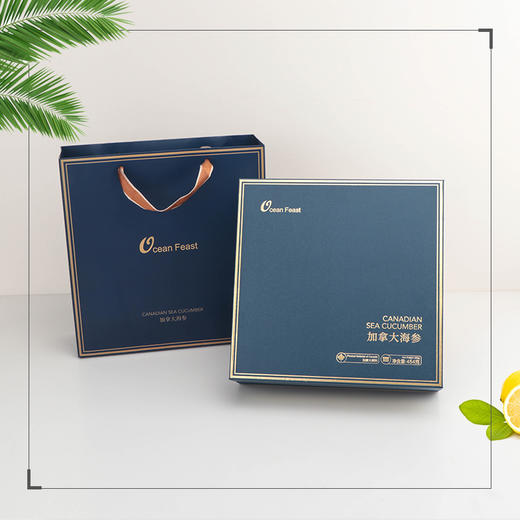 海参蓝色大礼盒【单拍礼盒不发货】【配合海参一起下单】 商品图0