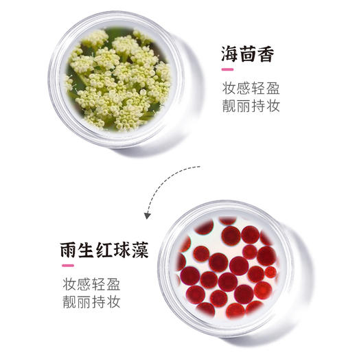 极光星球皎月柔光妆前乳30ml （220944） 商品图3