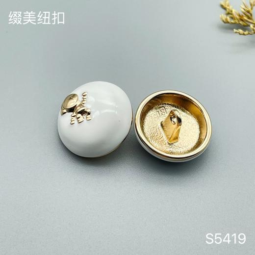 S5419 商品图1