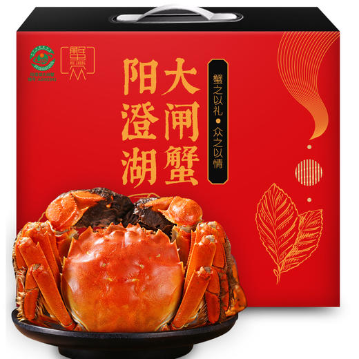 【活蟹】【阳澄湖大闸蟹】蟹众 公4.5两 母3.5两 4对8只装螃蟹礼盒 商品图0