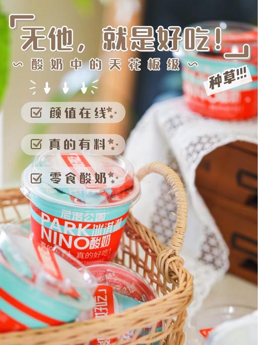 口感超赞！【尼诺公园冰淇淋酸奶】安牧出品 零食酸奶 搭配灵魂伴侣花花太碎 真实有料！入口即化 超美味~ 商品图5