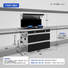 名气（MQ）老板集团出品 集成灶大吸力油烟机灶保洁柜FX10A 液化气