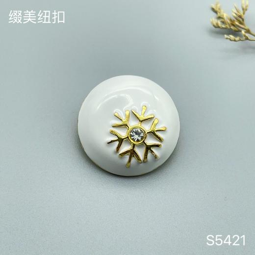 S5421 商品图1