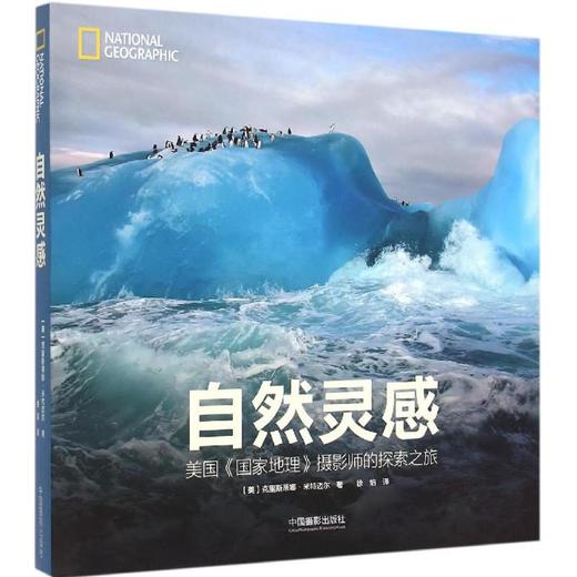 自然灵感 商品图0