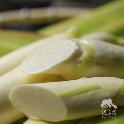 生态茭白 |  合作生产* Ecological water oat | Coproduction 商品图0