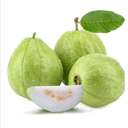 番石榴  500g 商品图0