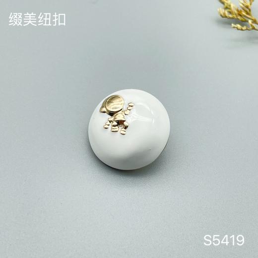 S5419 商品图0