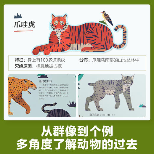 乐乐趣-我们也曾来过 灭绝动物的故事-点读版（精装1册） 商品图2