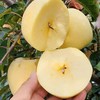 山东黄金维纳斯苹果，爆甜20+，爽脆飚汁，有特殊的香气！ 口感秒杀阿克苏、红富士！ 商品缩略图0