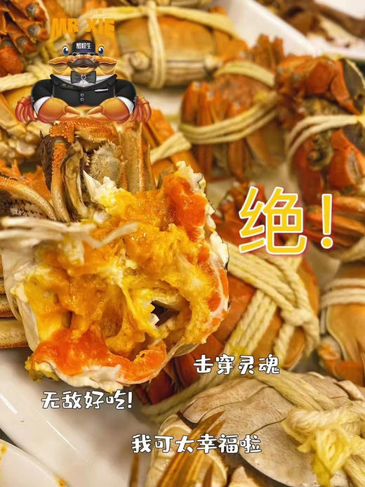 【实物】‘蟹鲜生’阳澄湖大闸蟹🦀️，只做高品质大闸蟹！每一只来自阳澄湖基地，每一只都佩戴阳澄湖商会颁发的防伪指环，可以溯源！ 商品图5