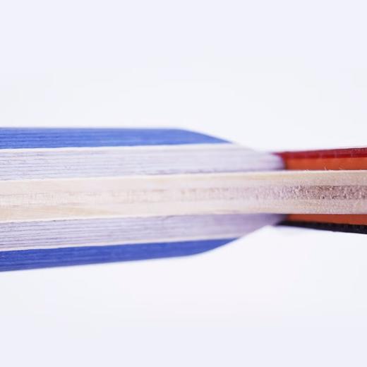 蝴蝶2系列成品乒乓拍TBC-201 商品图3