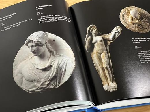 《器服物佩好无疆：东西文明交汇的阿富汗国家宝藏》（增订版），清华大学艺术博物馆编，16开，精装，页数不详，1.28kg，上海书画出版社2022年一版一印。定价258，售价198元。
  商品图12